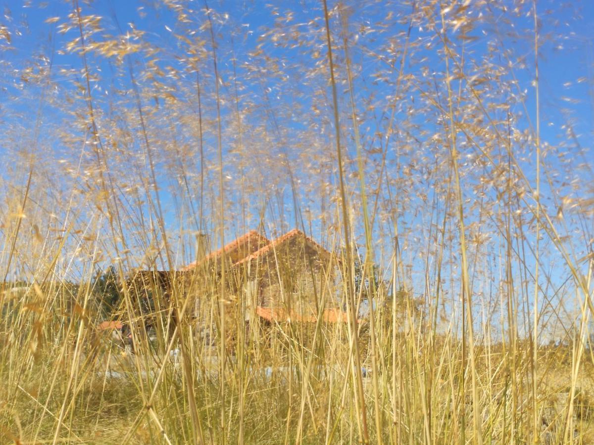 Apartamento Quinta Da Adarnela Lagares da Beira Exterior foto